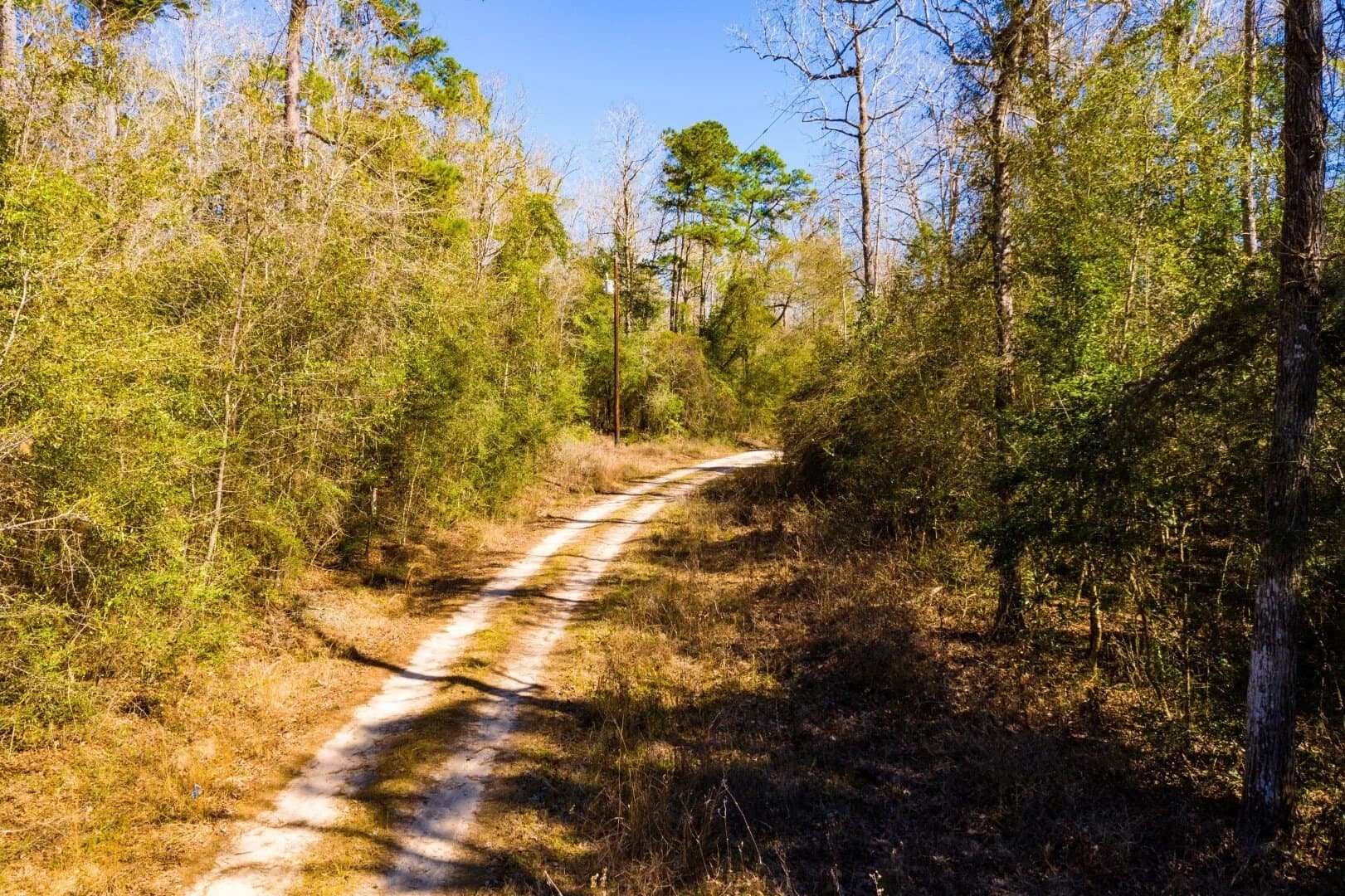 0.7 acres in Tyler County - photo 24