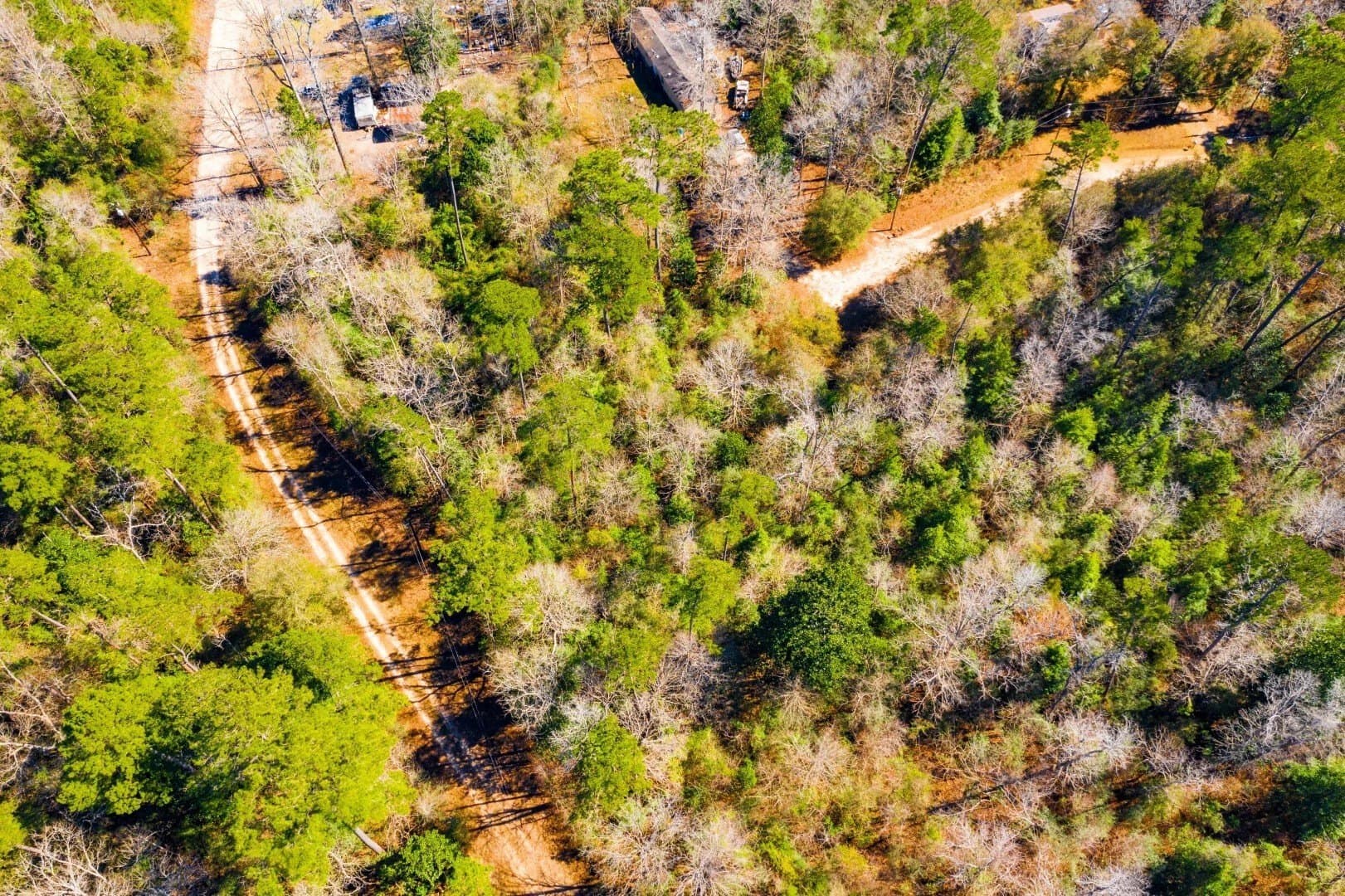 0.7 acres in Tyler County - photo 15