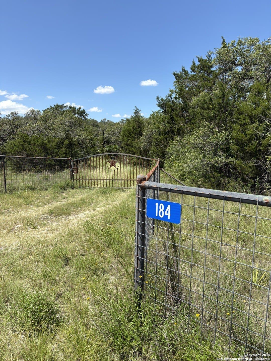 9.73 acres in Blanco County gallery image 4