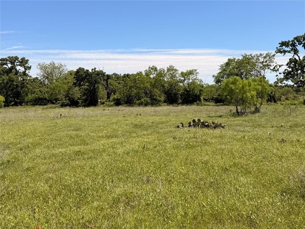 6.1 acres in Eastland County gallery image 4