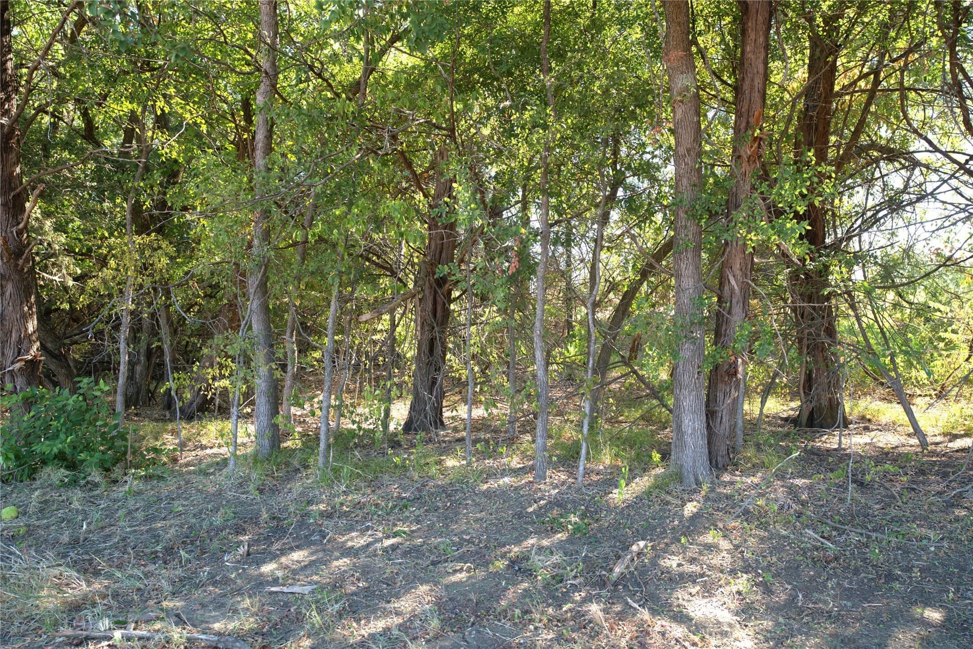 0.5 acres in Lamar County - photo 3
