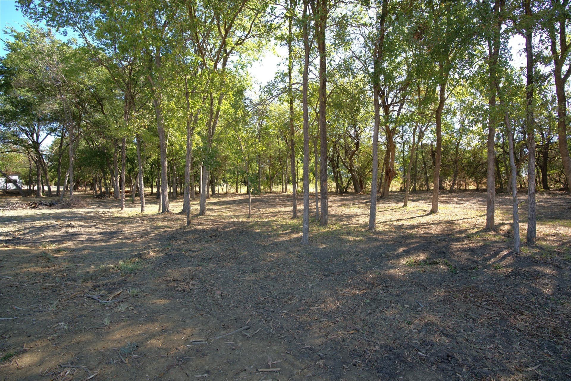 0.5 acres in Lamar County - photo 9