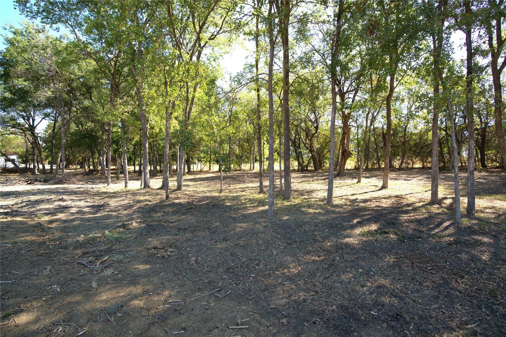 0.5 acres in Lamar County - photo 10