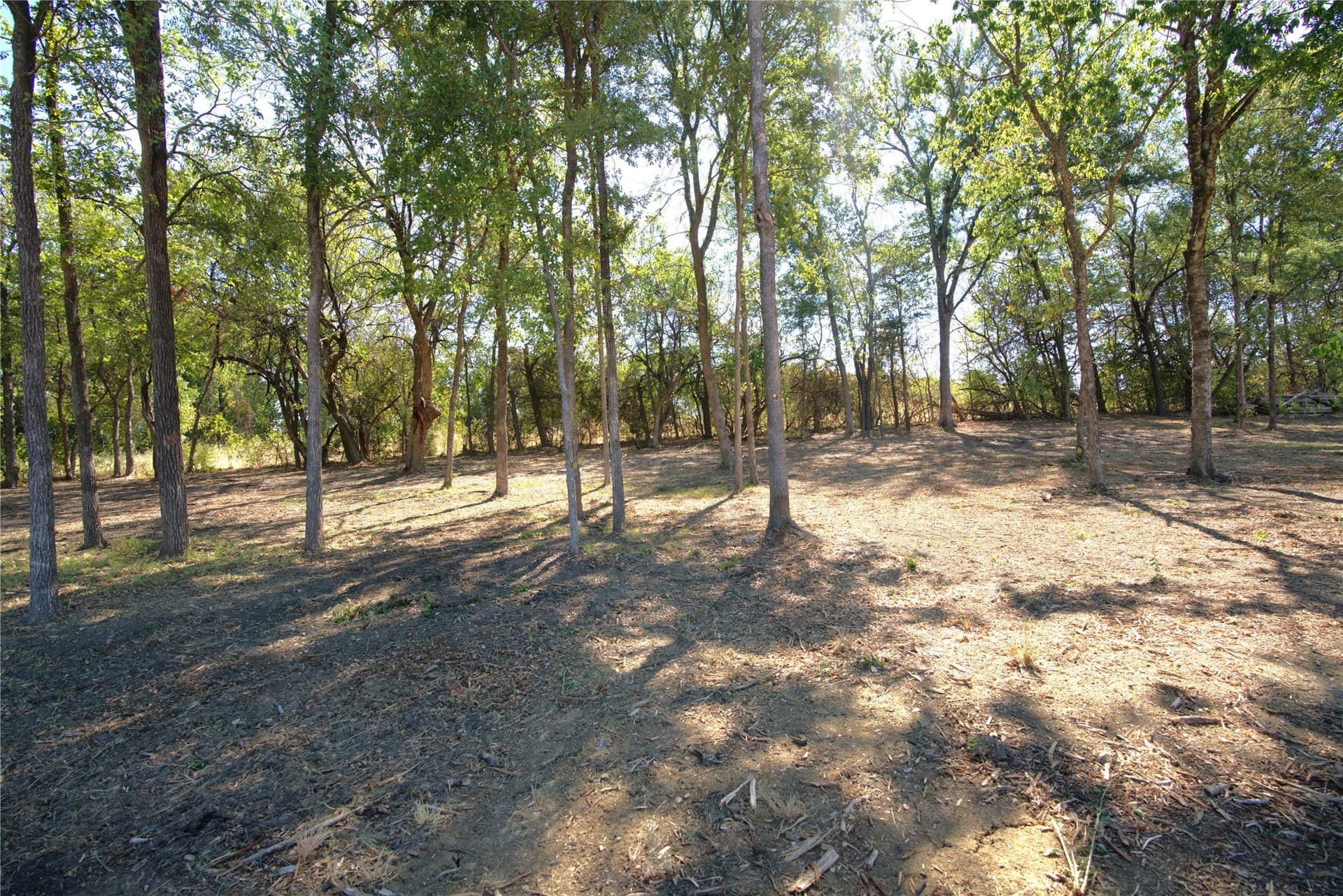 0.5 acres in Lamar County - photo 7