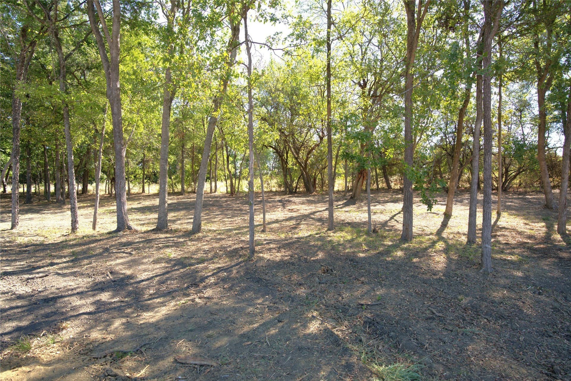 0.5 acres in Lamar County - photo 6