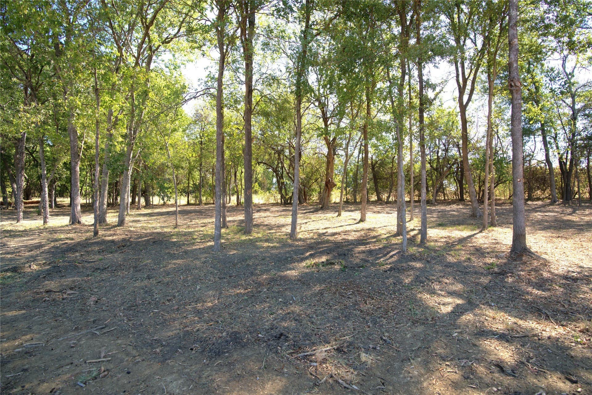 0.5 acres in Lamar County - photo 8