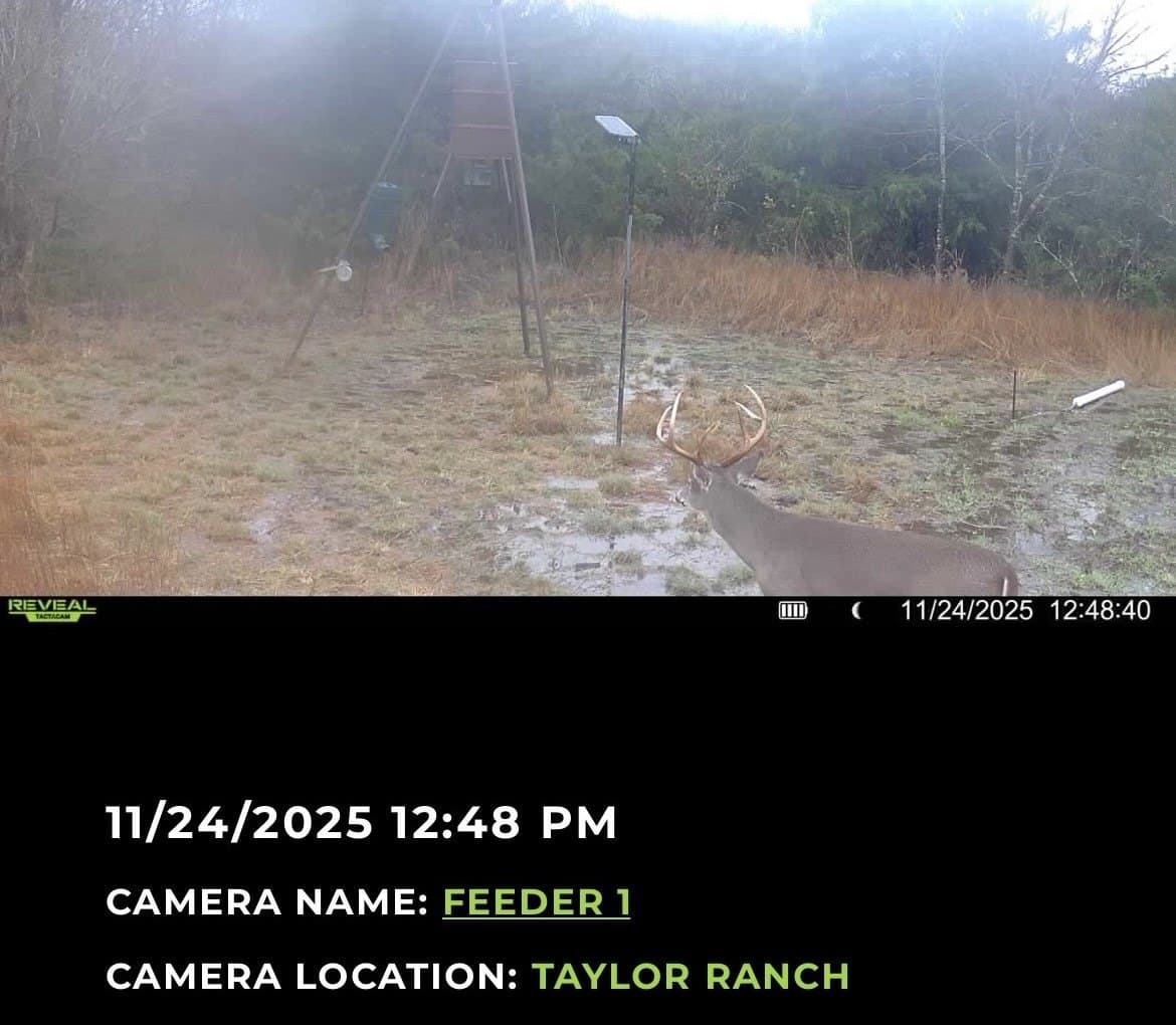 25.44 acres in Hill County - photo 37