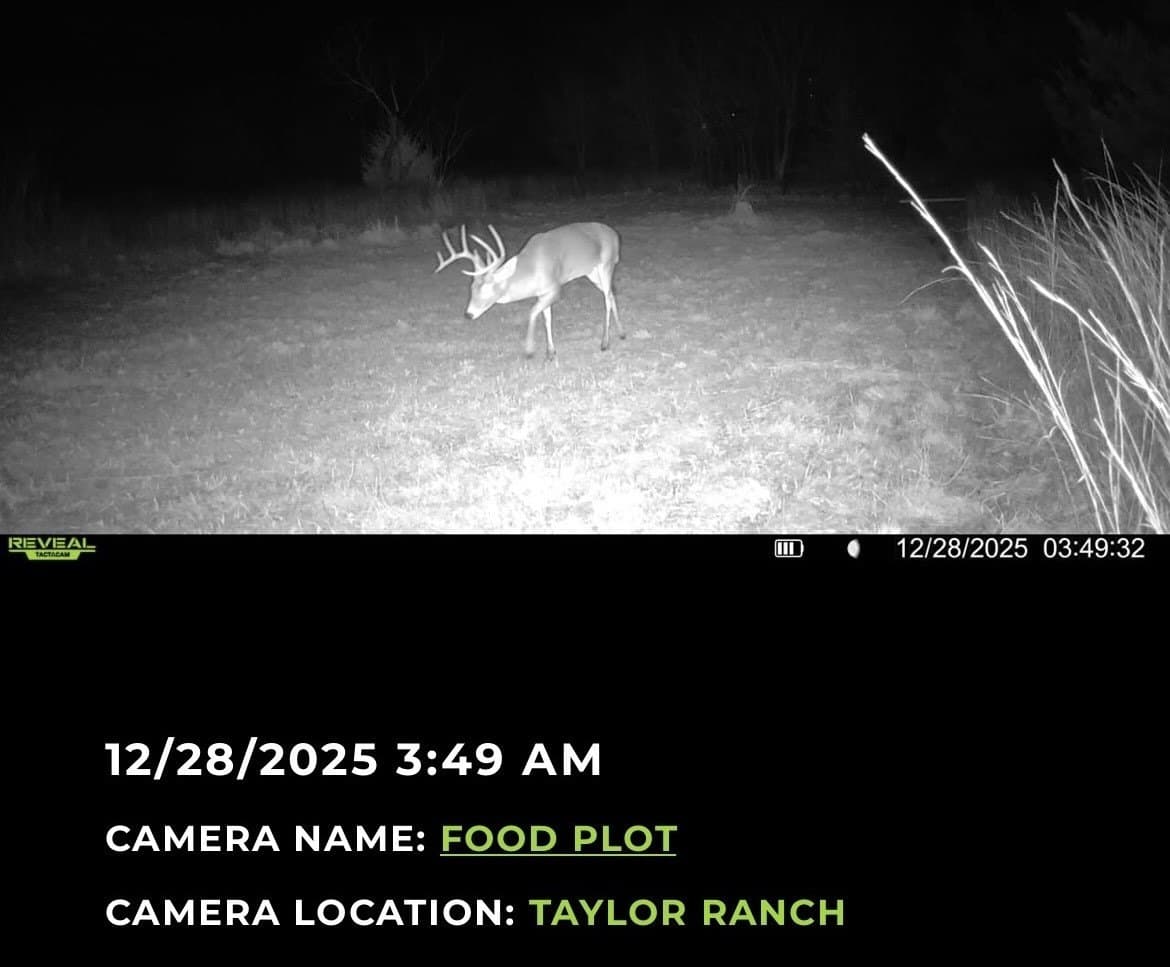 25.44 acres in Hill County - photo 35