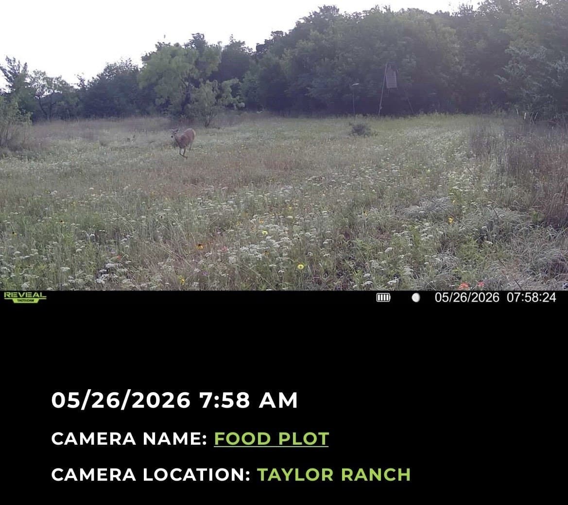 25.44 acres in Hill County - photo 34