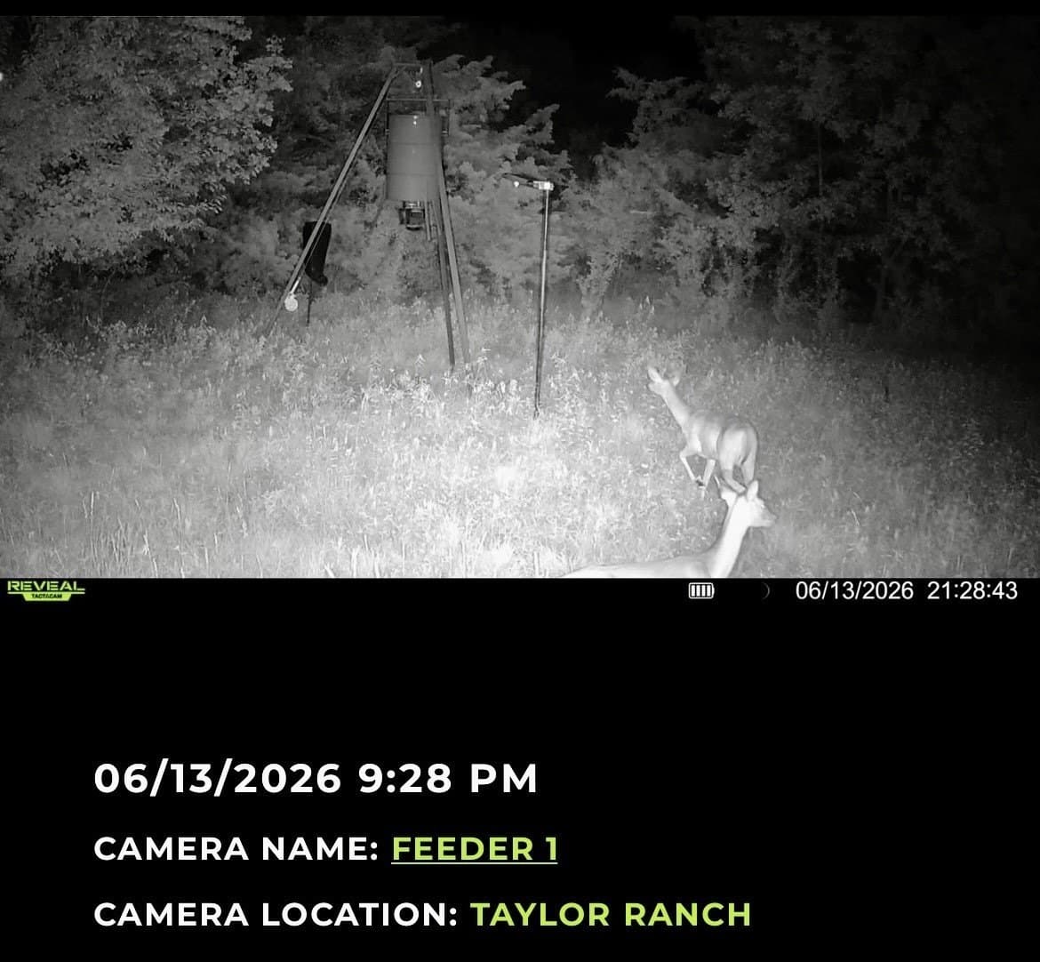 25.44 acres in Hill County - photo 36