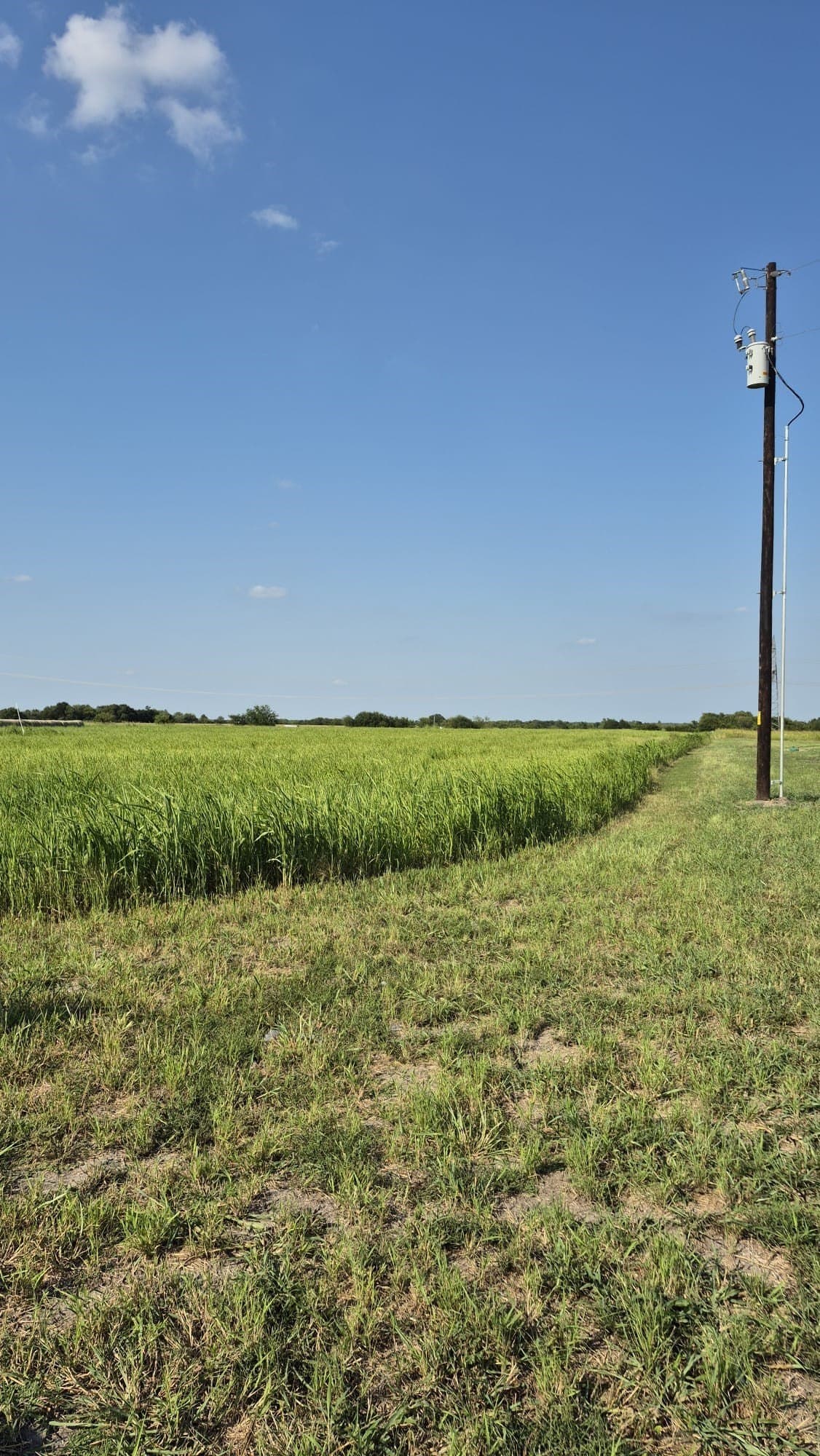 8.12 acres in Ellis County featured view