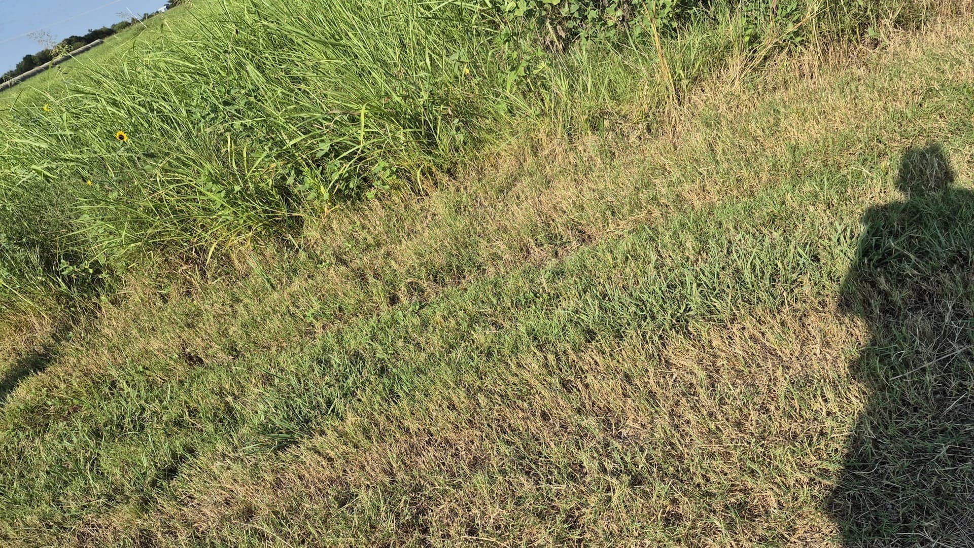 8.12 acres in Ellis County - photo 11