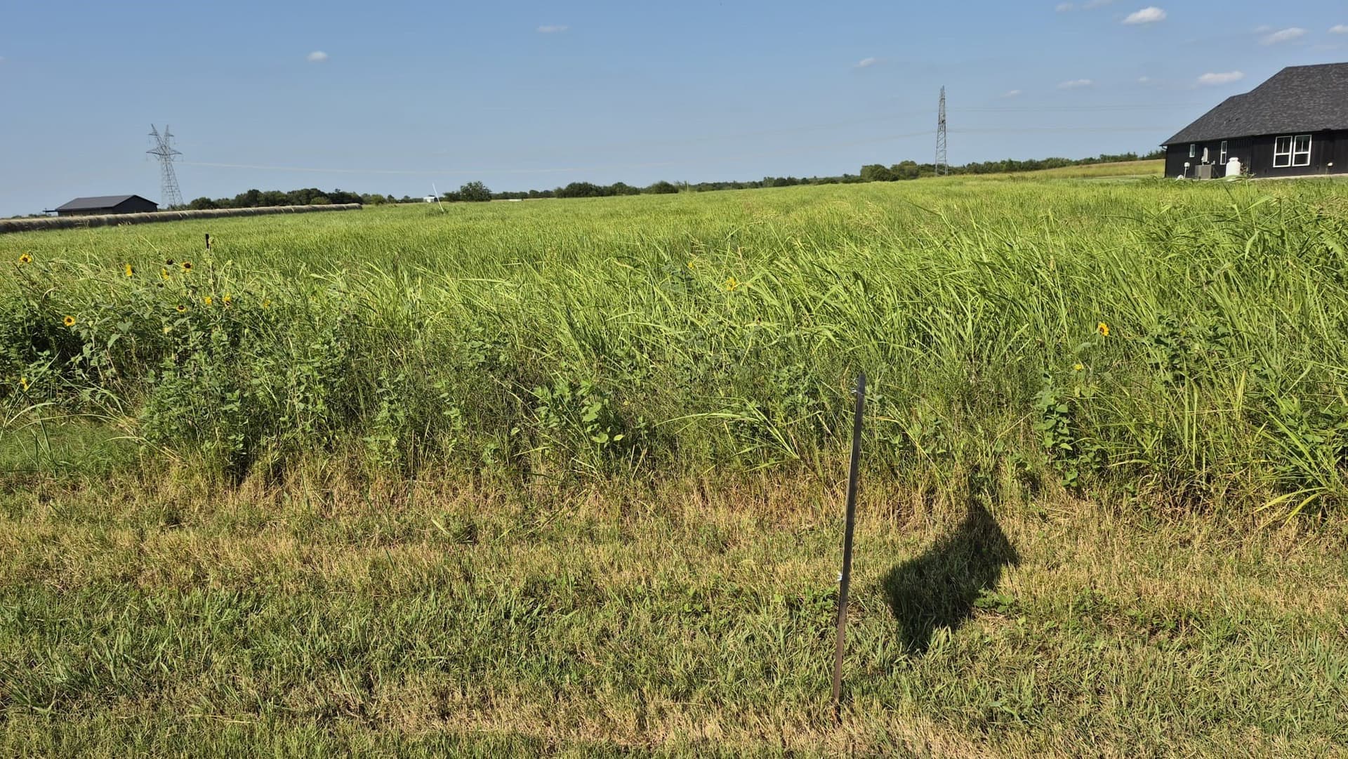 8.12 acres in Ellis County - photo 9