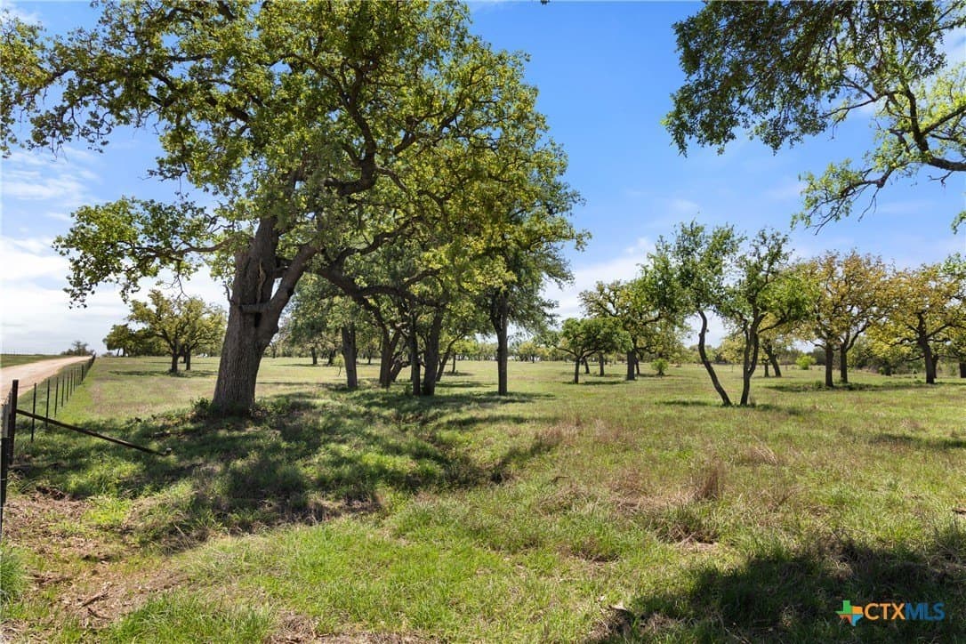 206 acres in Blanco County gallery image 4