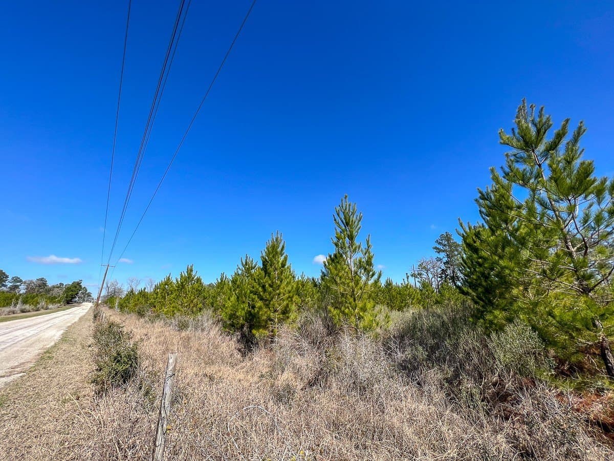 11.23 acres in Walker County - photo 6