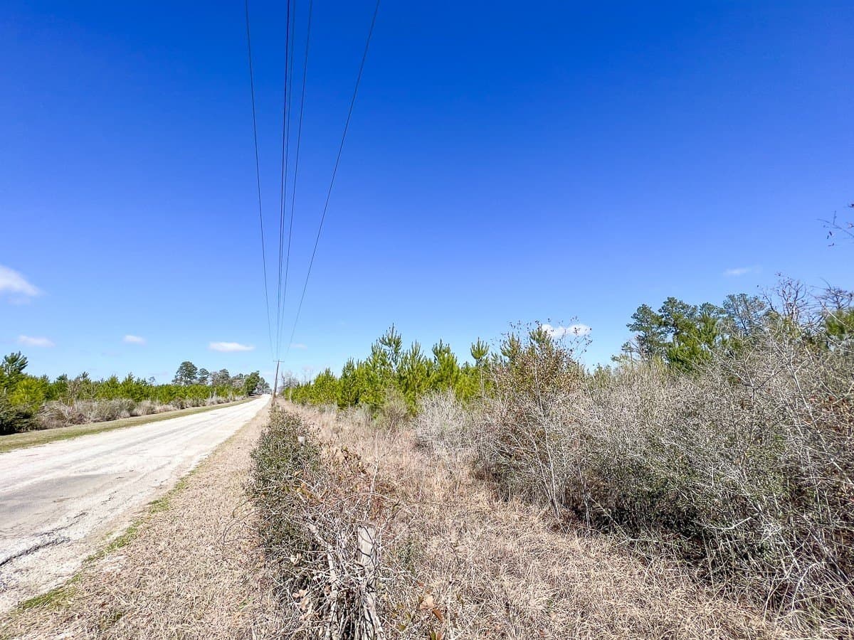 11.23 acres in Walker County - photo 5