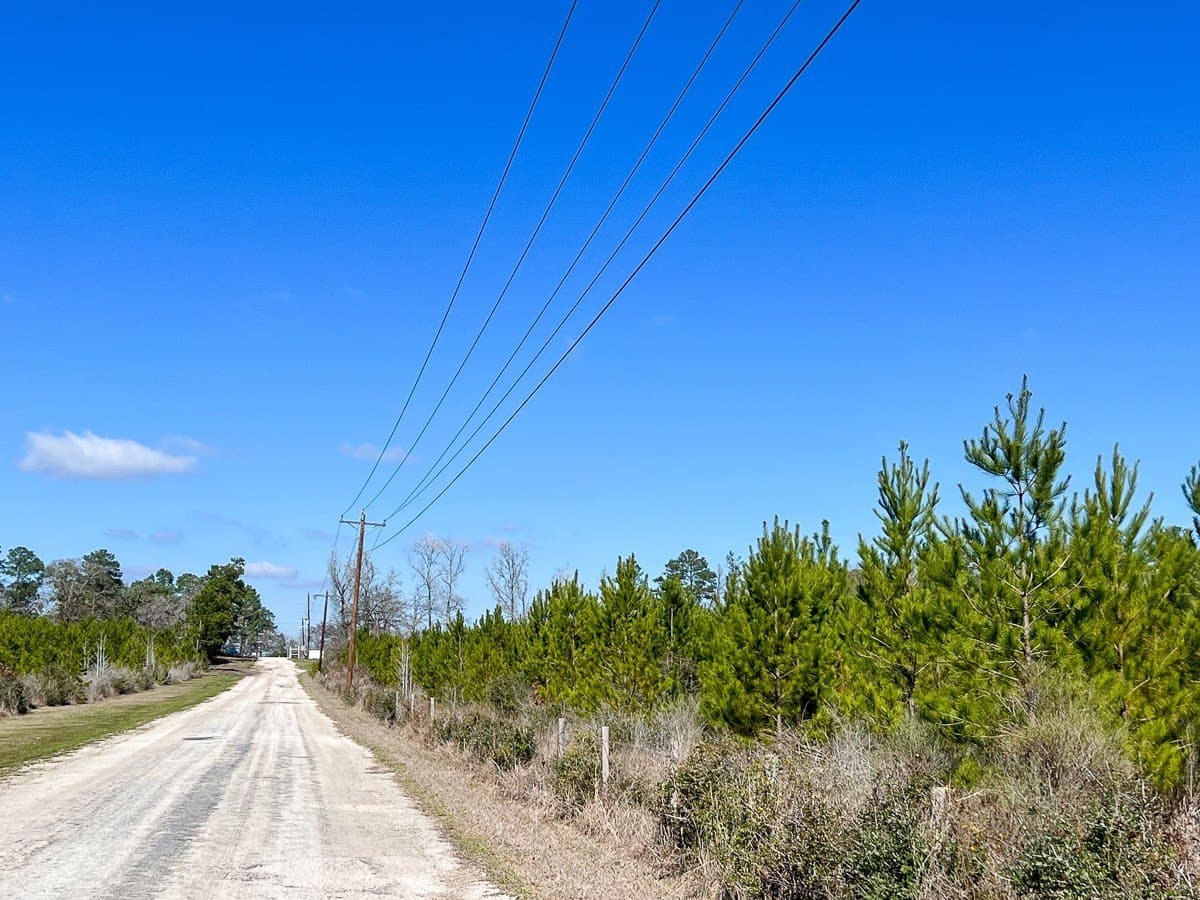 11.23 acres in Walker County - photo 4