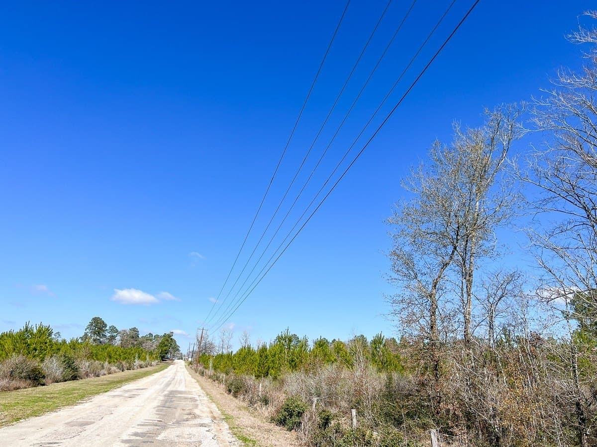 11.23 acres in Walker County - photo 2