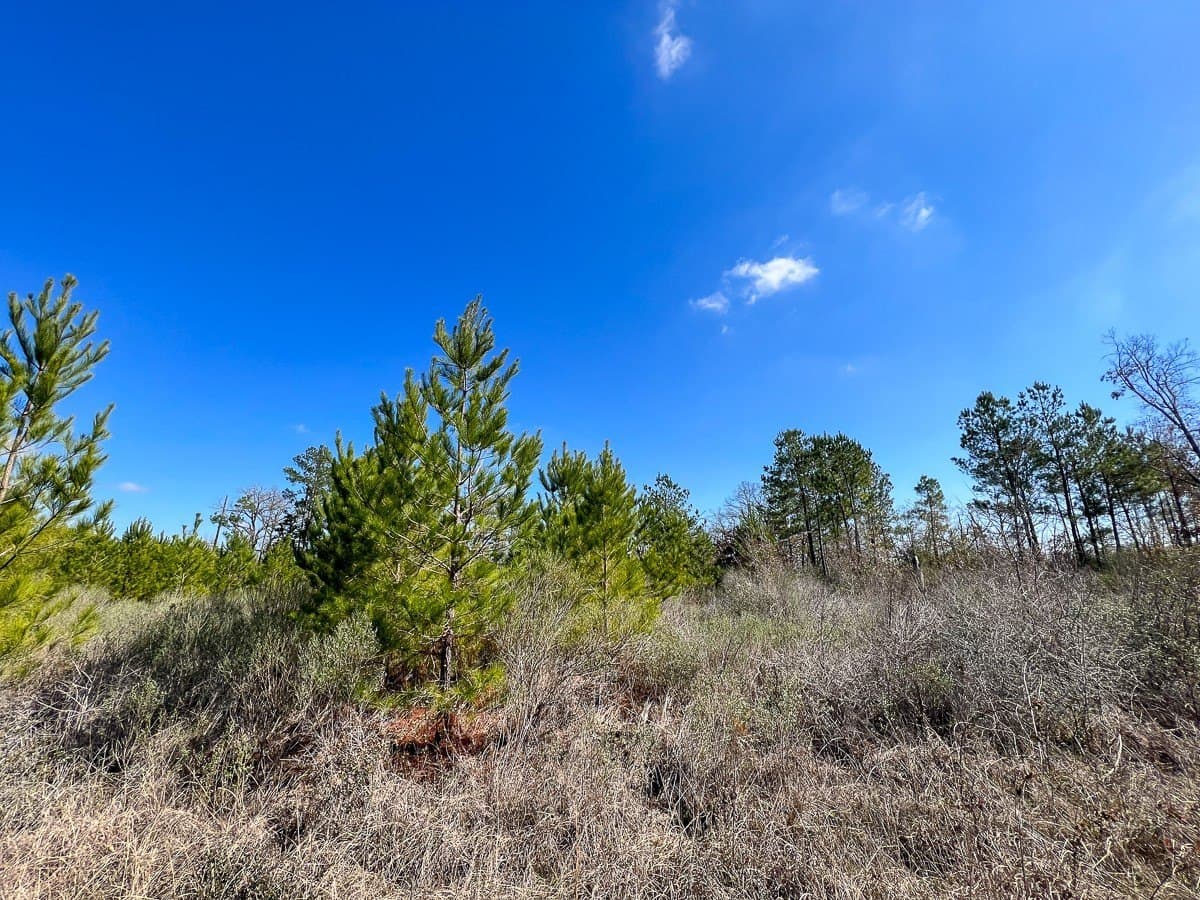 11.23 acres in Walker County - photo 3