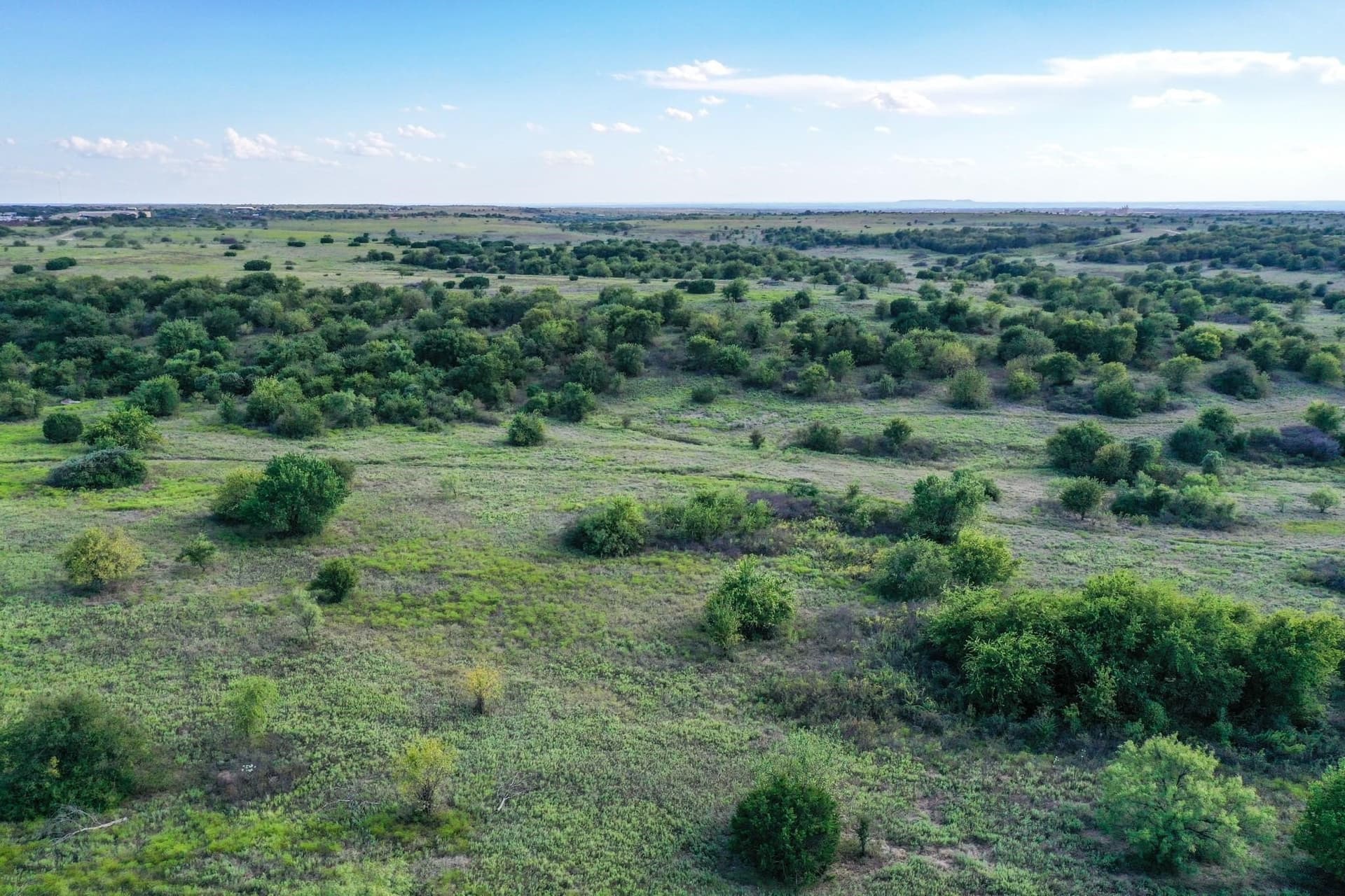 84.89 acres in Parker County - photo 9