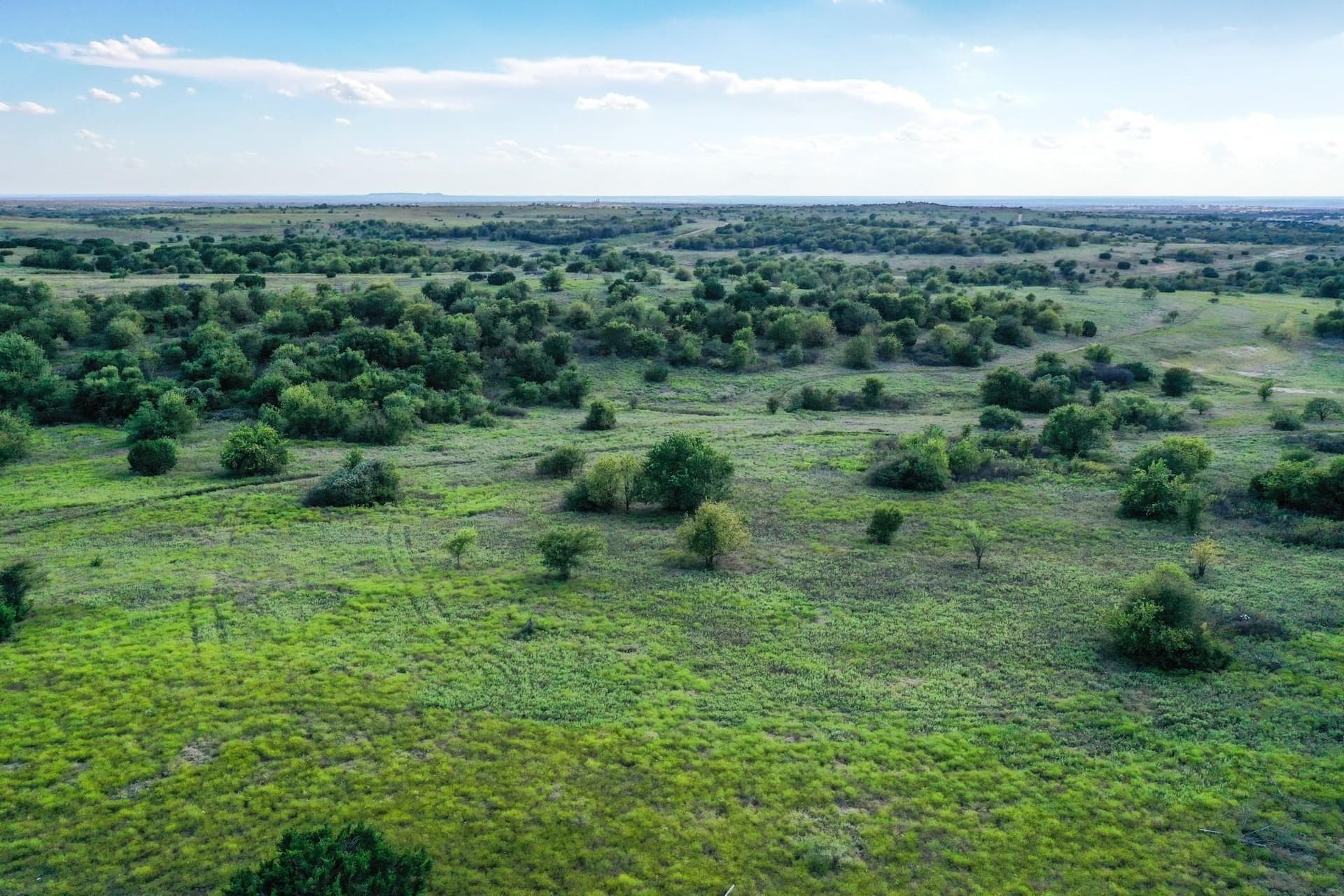 84.89 acres in Parker County - photo 6