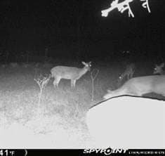 14.63 acres in Comanche County featured view