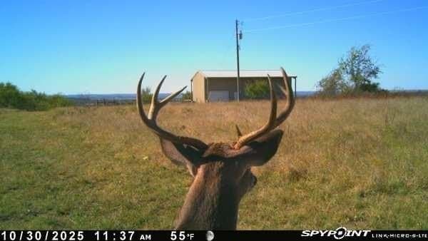 14.63 acres in Comanche County