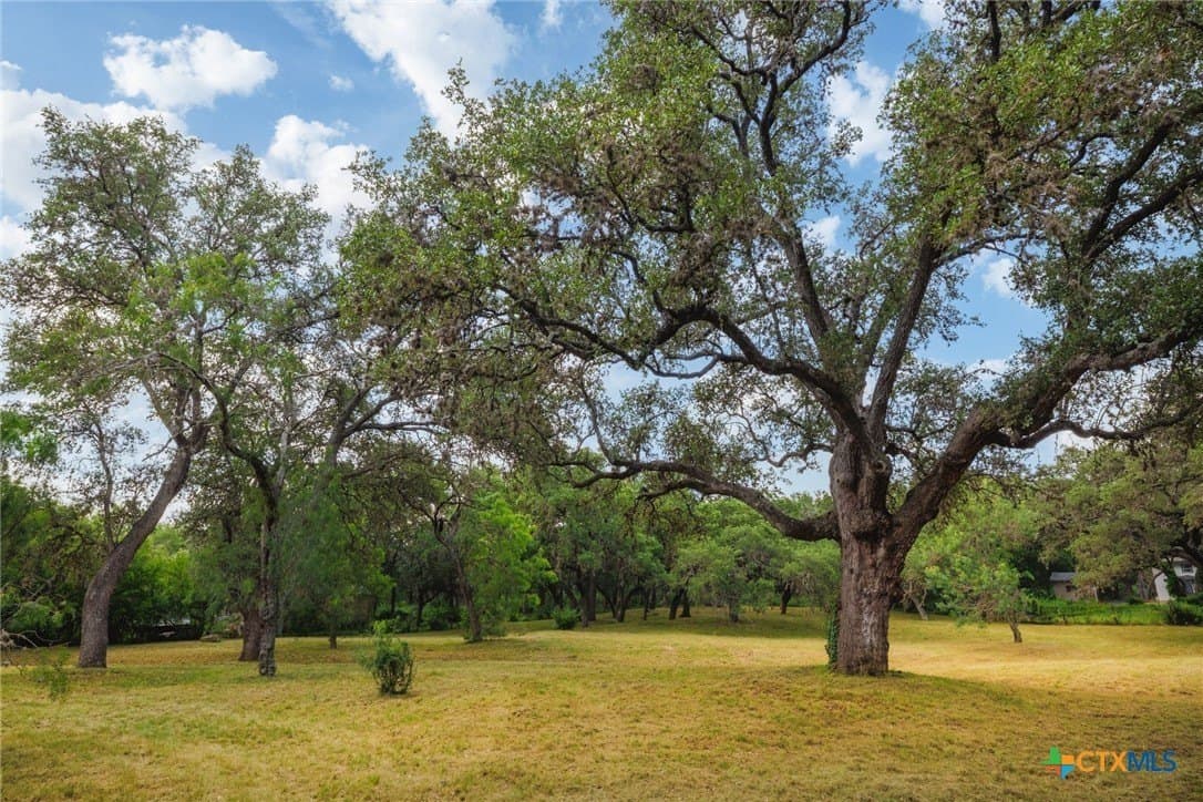 2 acres in Bexar County gallery image 4