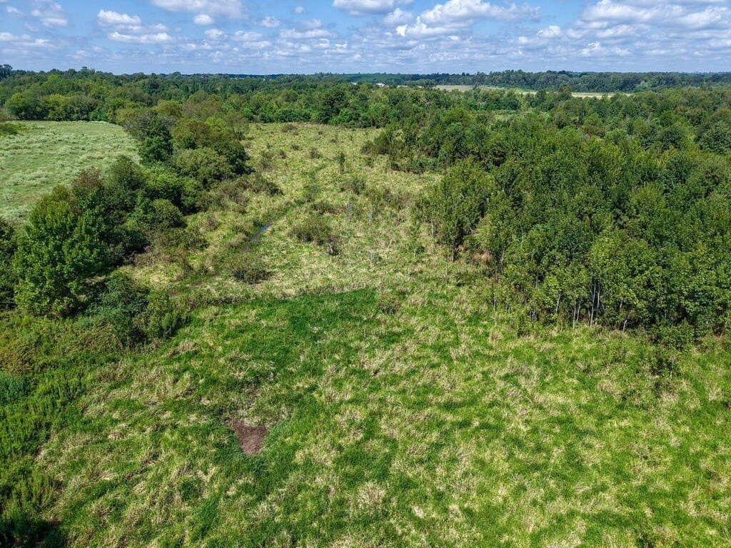 15.96 acres in Texas County - photo 6