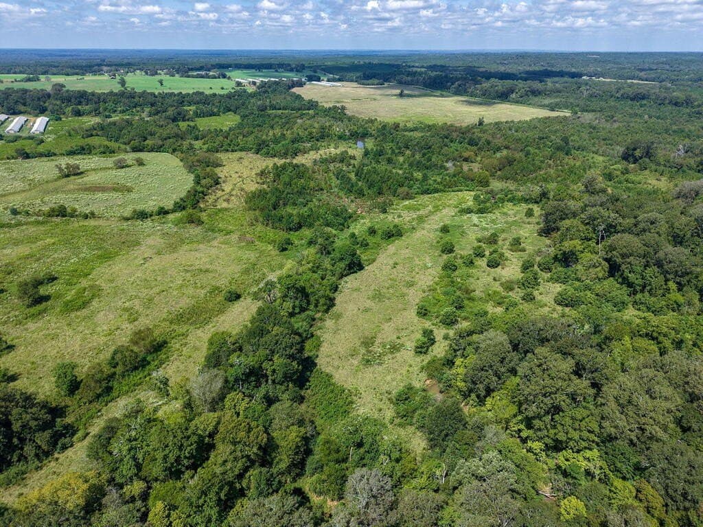 15.96 acres in Texas County - photo 8