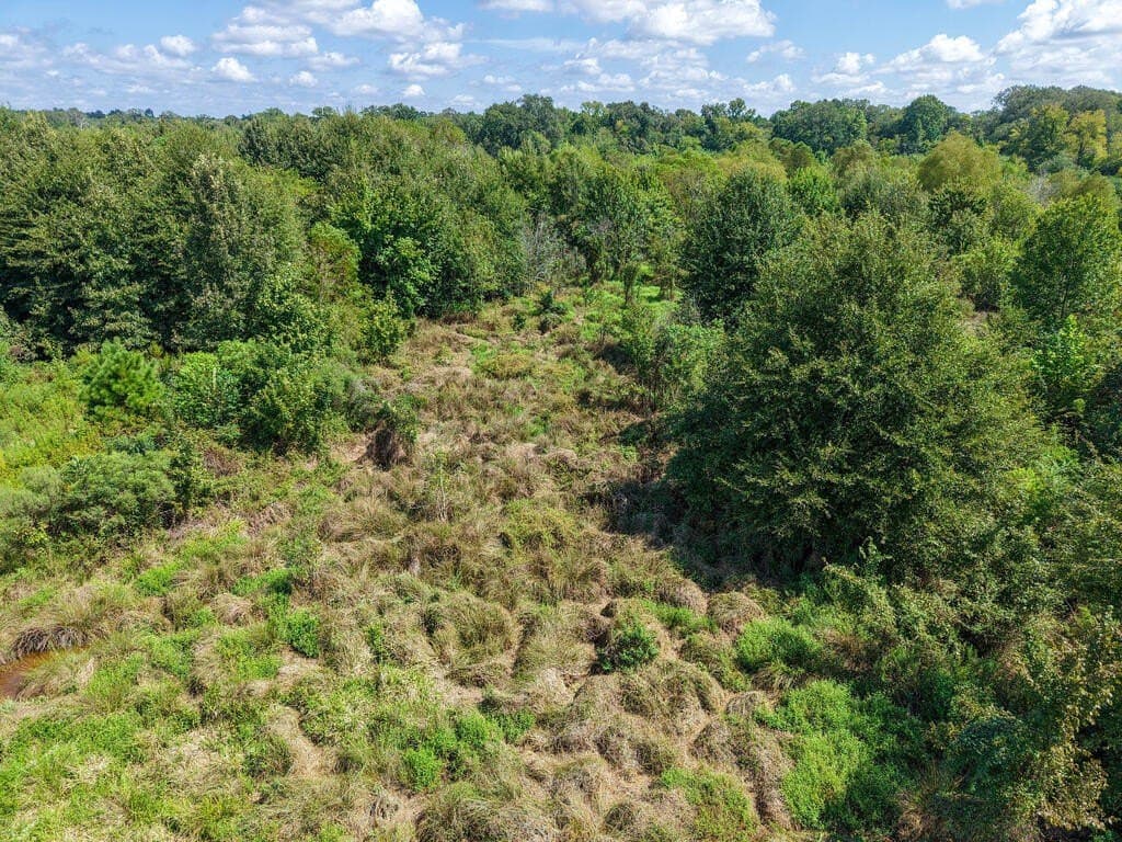 15.96 acres in Texas County - photo 5