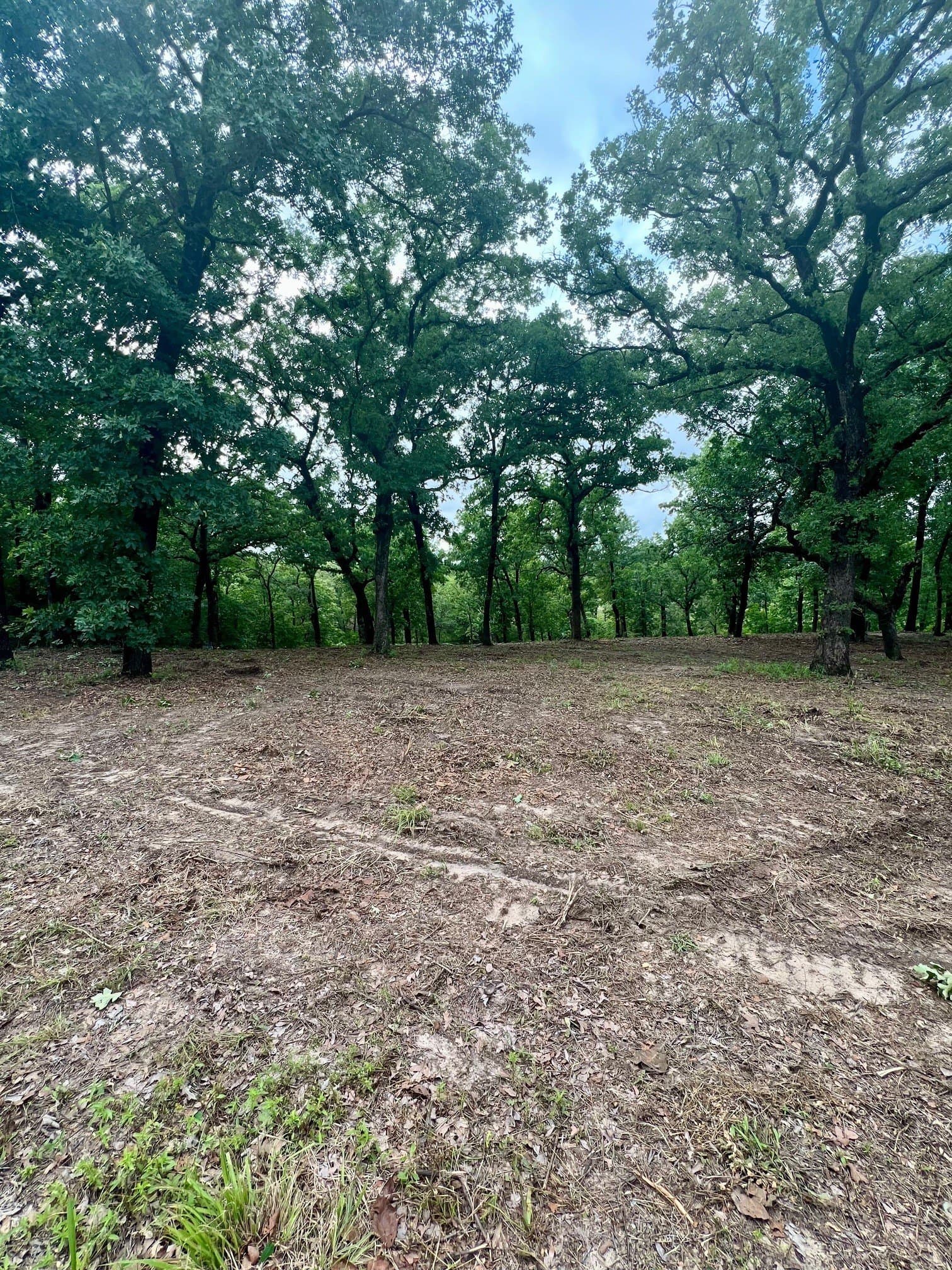 5.52 acres in Henderson County - photo 7