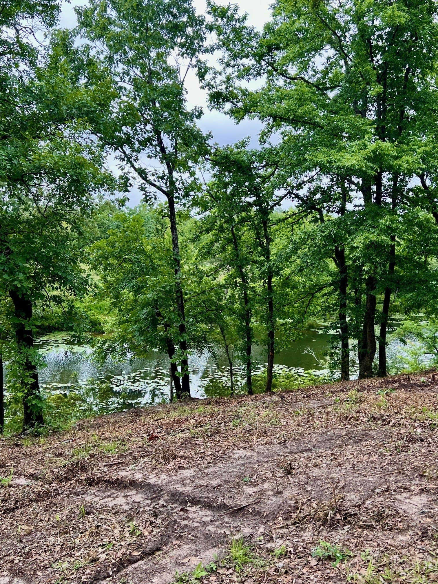 5.52 acres in Henderson County - photo 5