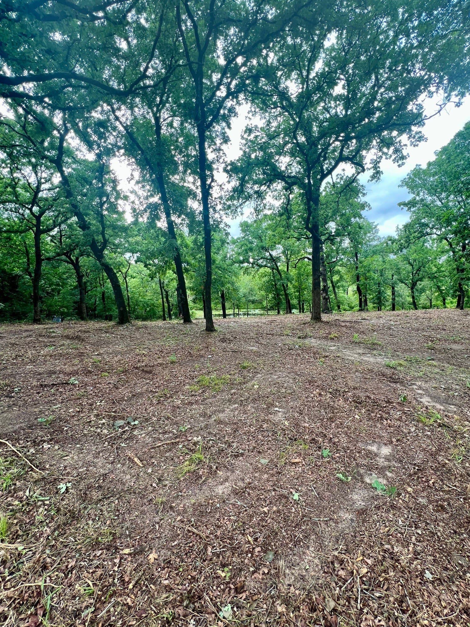 5.52 acres in Henderson County - photo 11