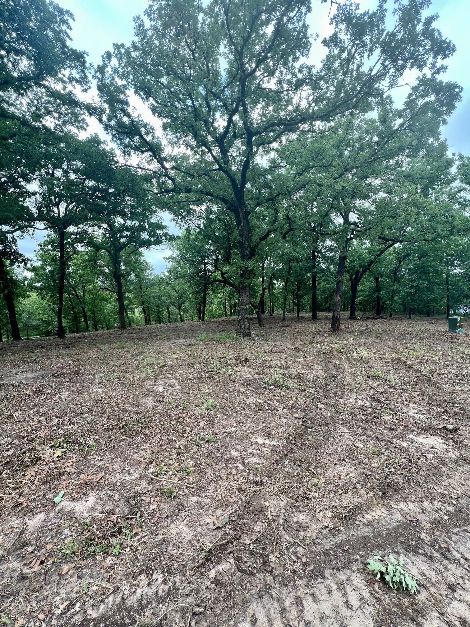 5.52 acres in Henderson County - photo 9