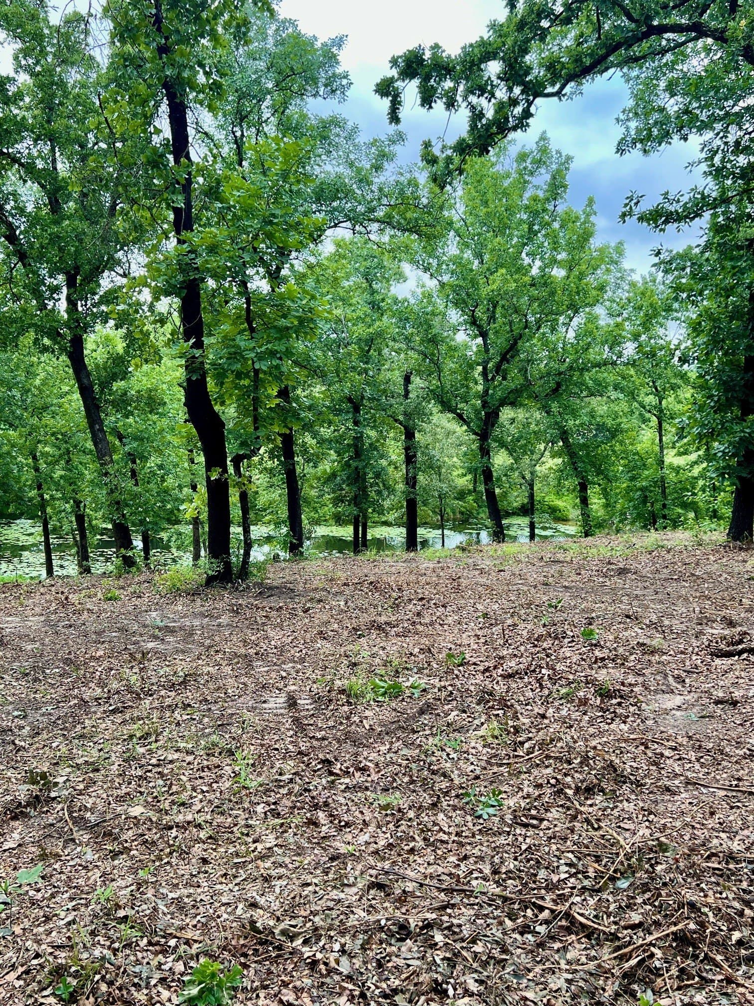 5.52 acres in Henderson County - photo 13