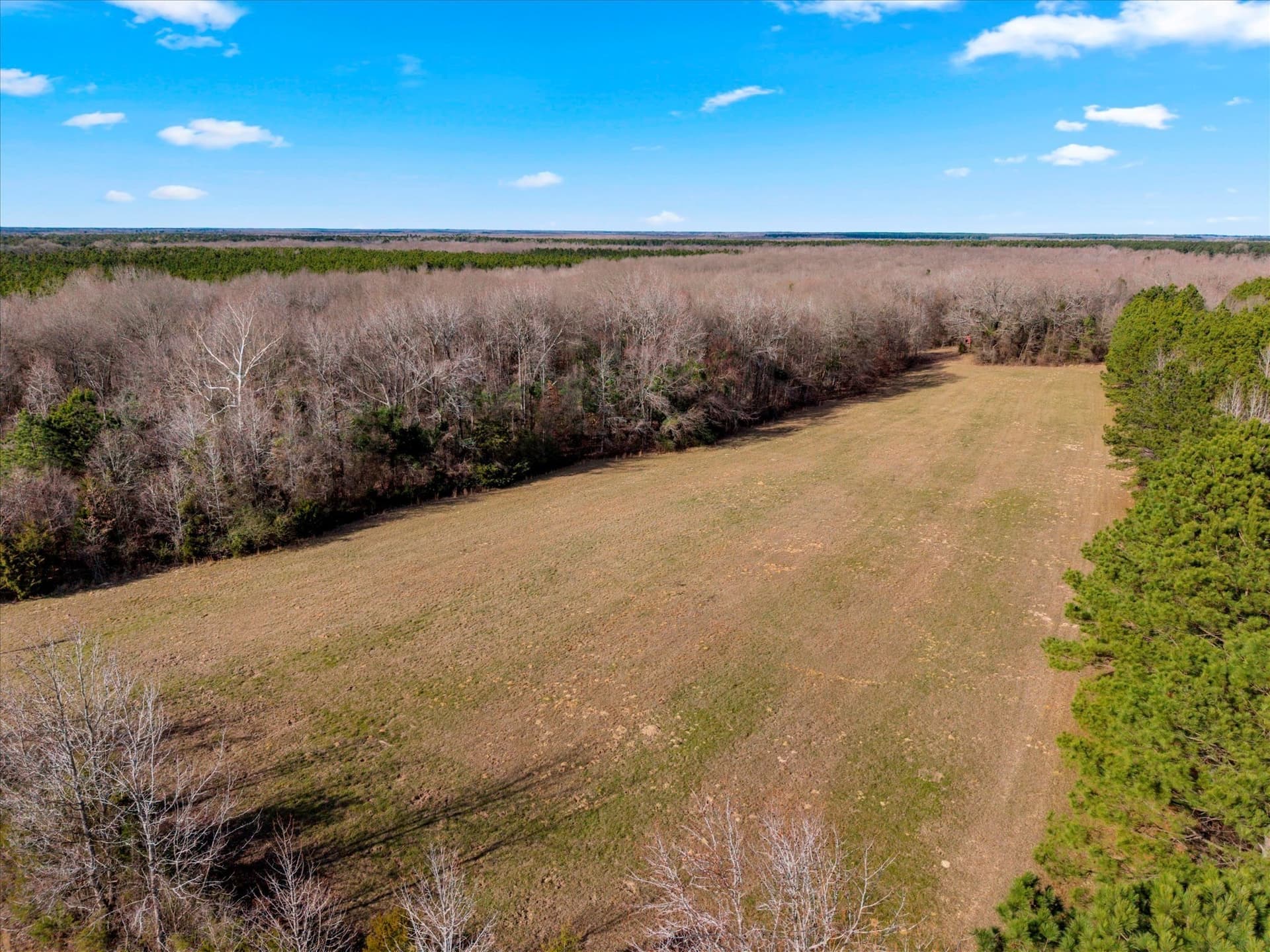 195 acres in Bowie County - photo 7