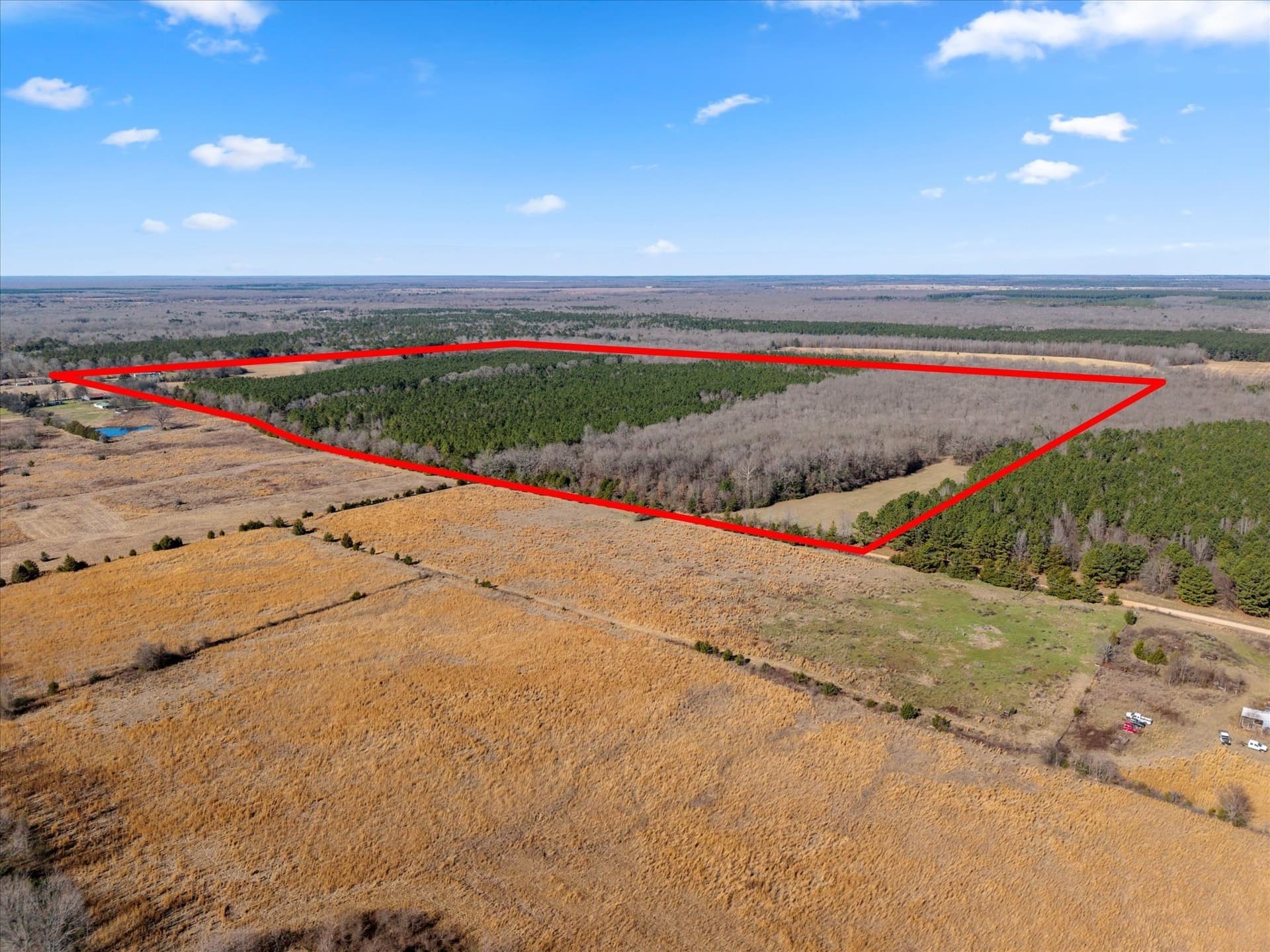195 acres in Bowie County - photo 22