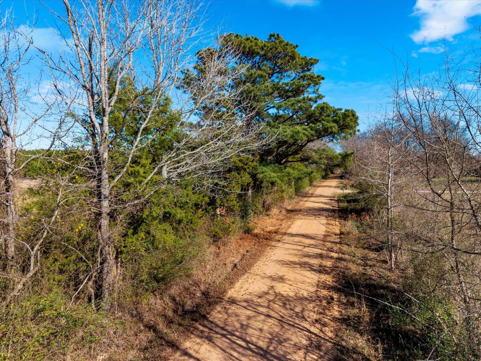 195 acres in Bowie County gallery image 4