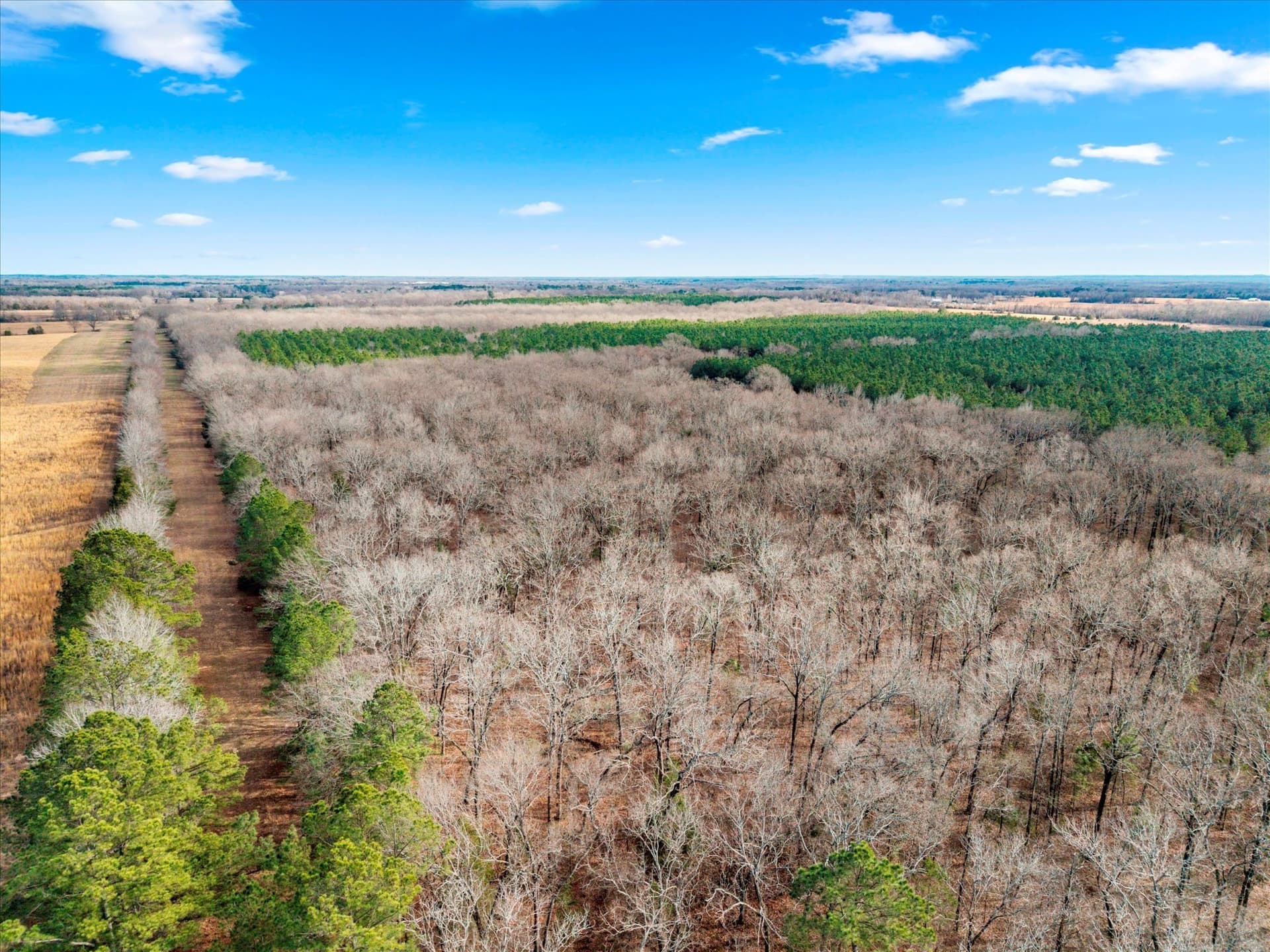 195 acres in Bowie County - photo 9