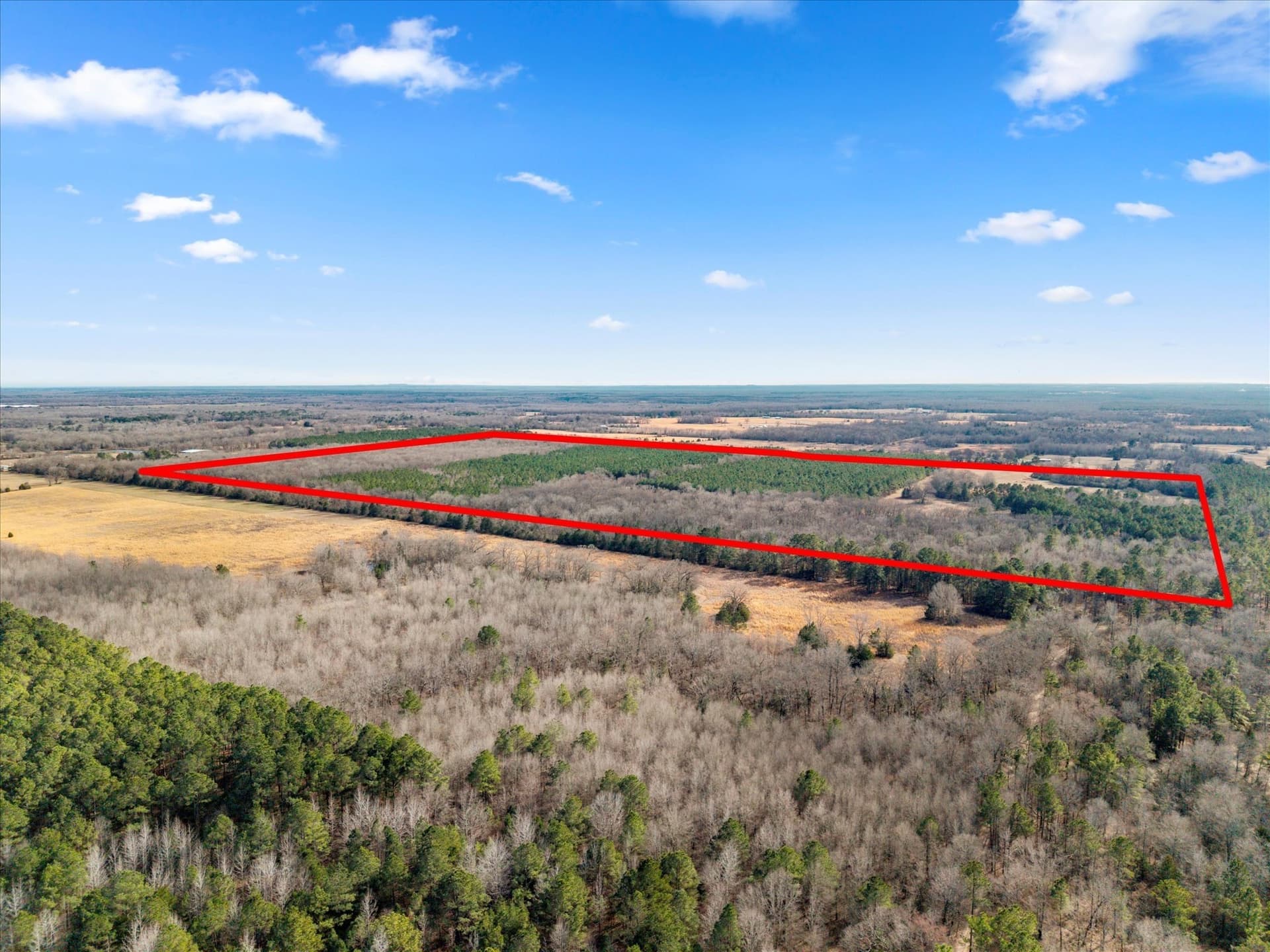 195 acres in Bowie County - photo 36