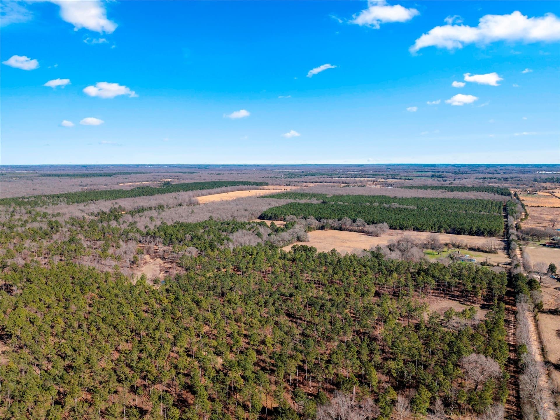 195 acres in Bowie County - photo 18
