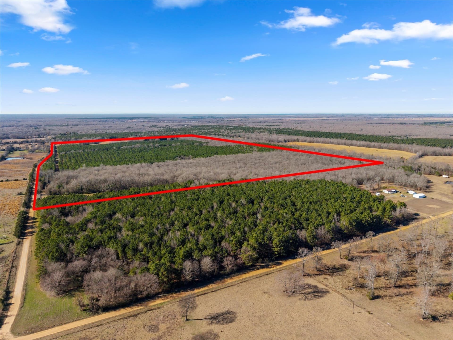 195 acres in Bowie County - photo 31