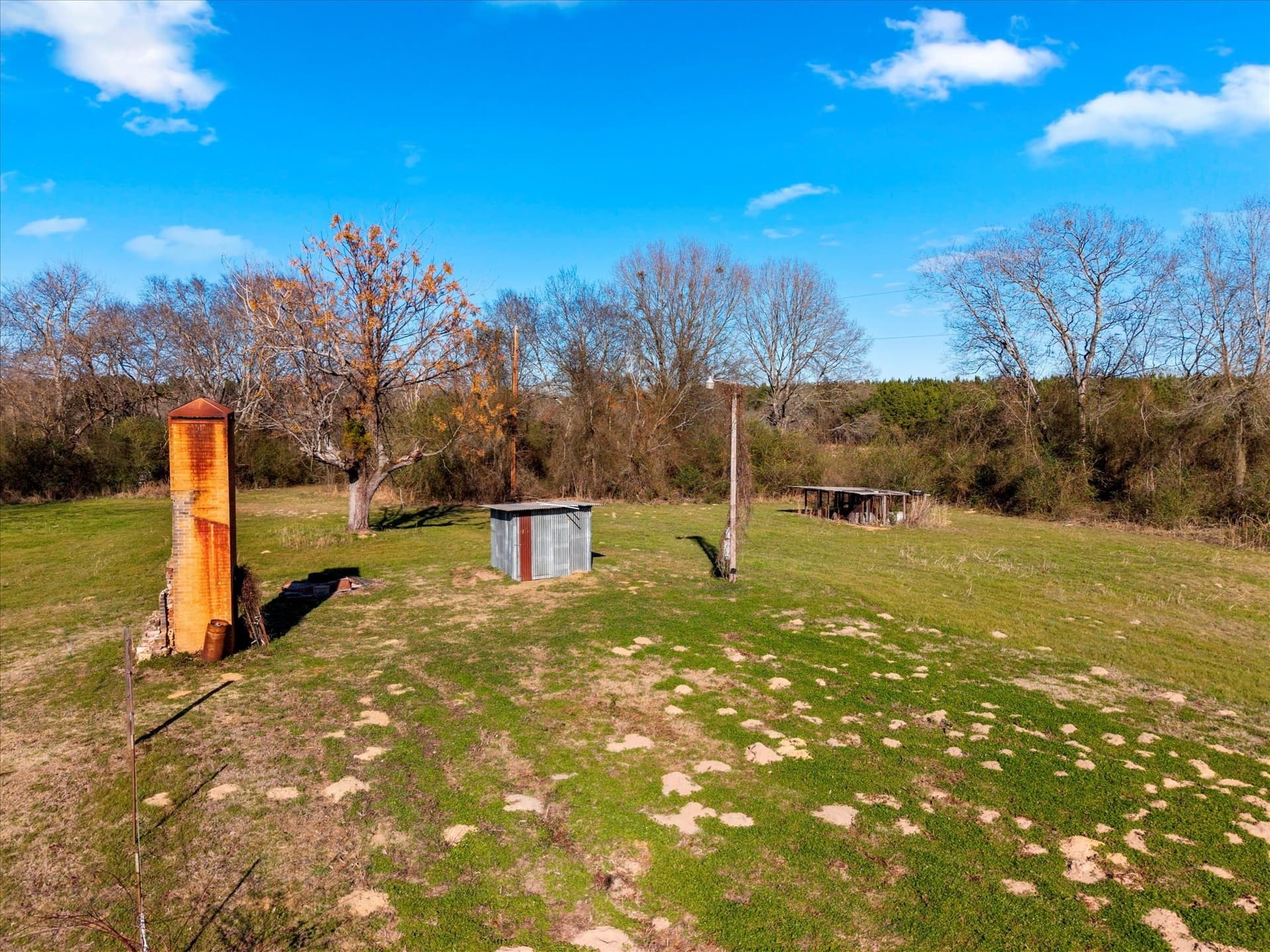 195 acres in Bowie County gallery image 3