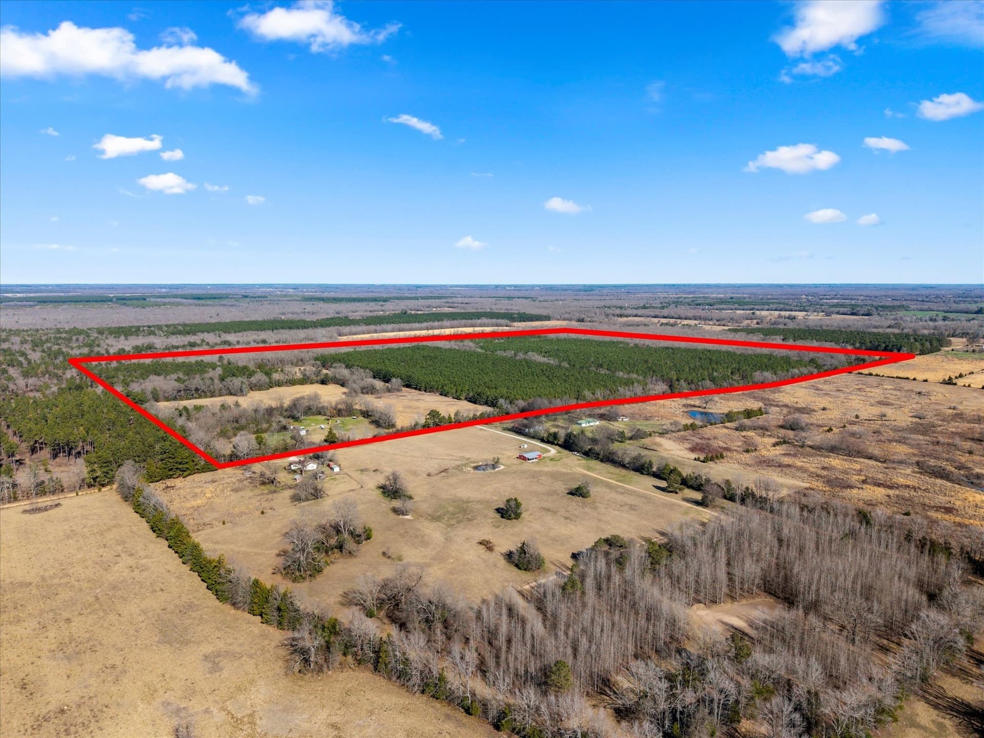 195 acres in Bowie County - photo 28