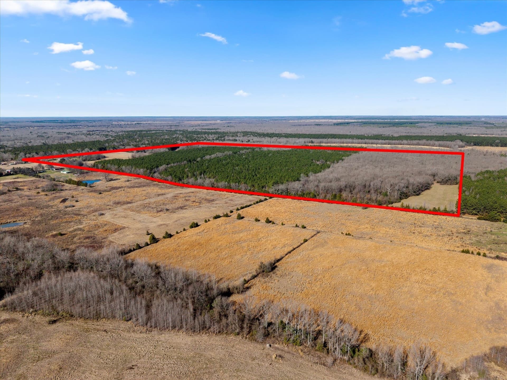 195 acres in Bowie County - photo 23