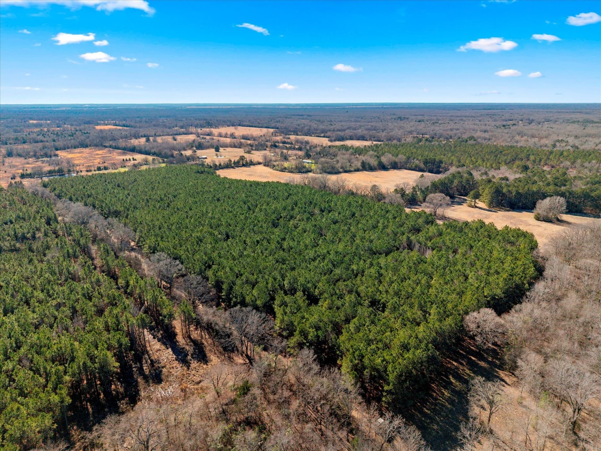 195 acres in Bowie County - photo 13