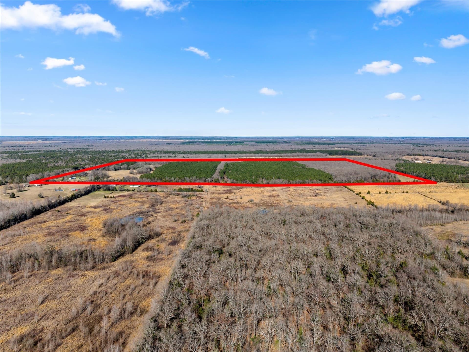195 acres in Bowie County - photo 26