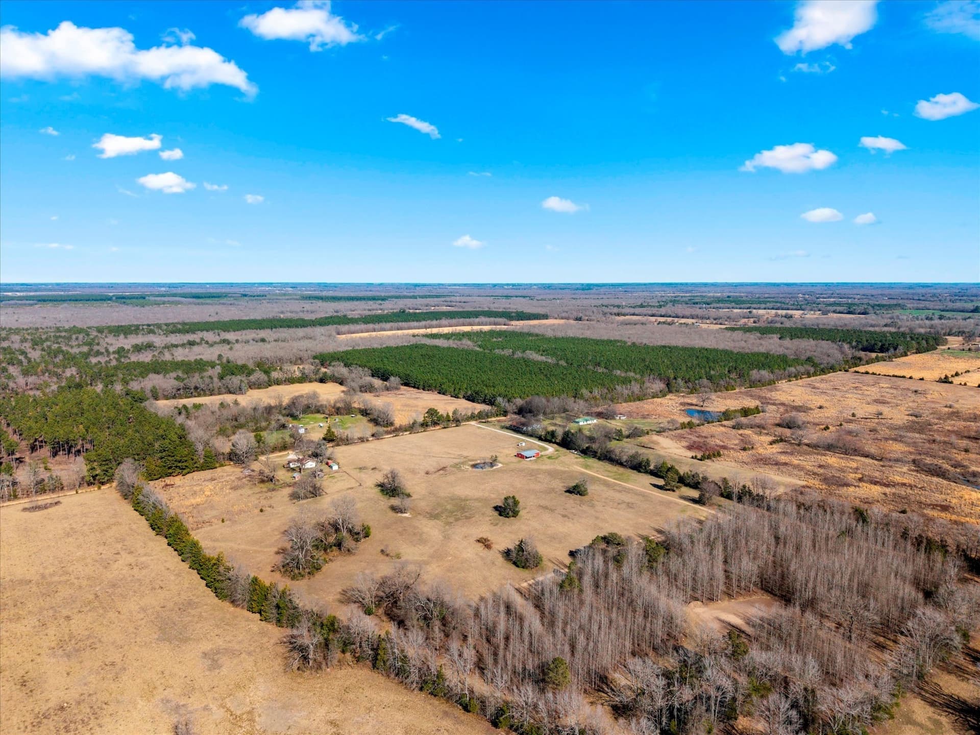 195 acres in Bowie County - photo 19