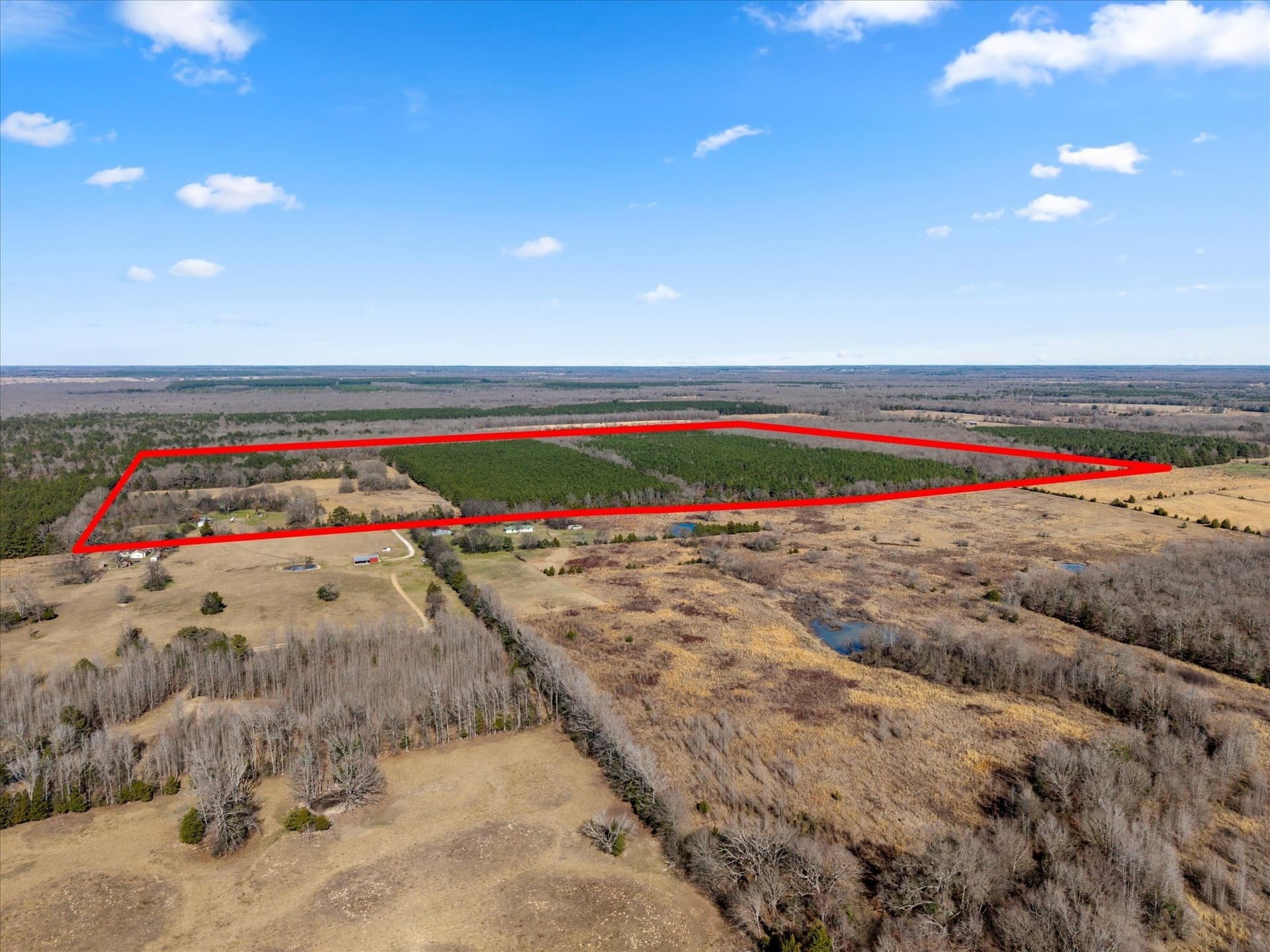 195 acres in Bowie County - photo 27
